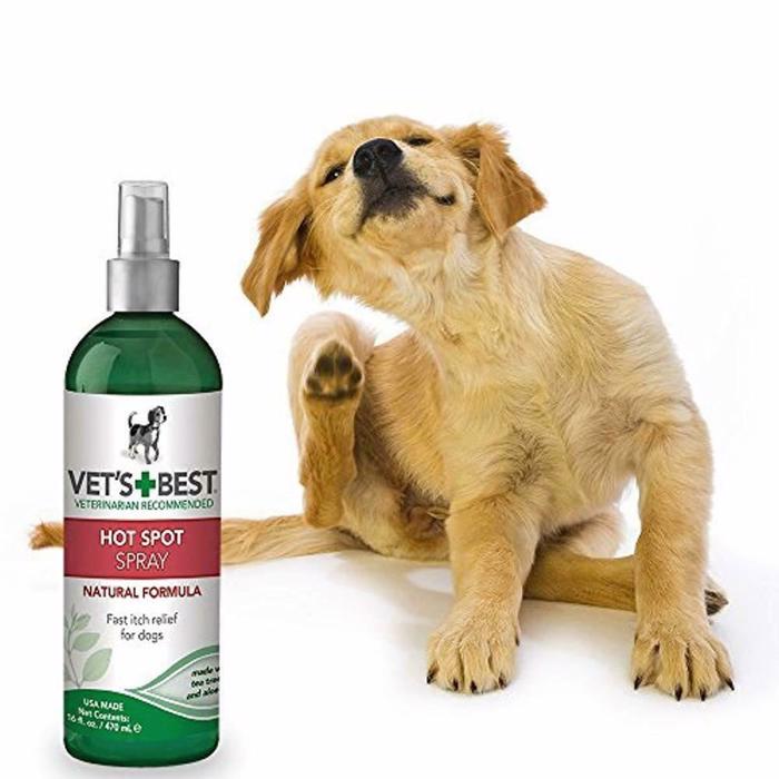 Veterinärens bästa hot spot -spraylindring för klåda och utmanad hud